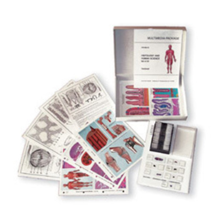 3B SCIENTIFIC MULTIMEDIA STUDENT SET Typcl Stems of Phanerogams Basic, 6 items, German 1004414